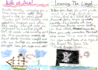 kidwork1.gif (65449 bytes)